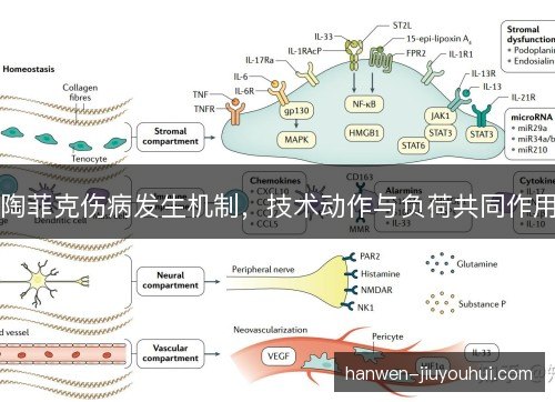 陶菲克伤病发生机制，技术动作与负荷共同作用